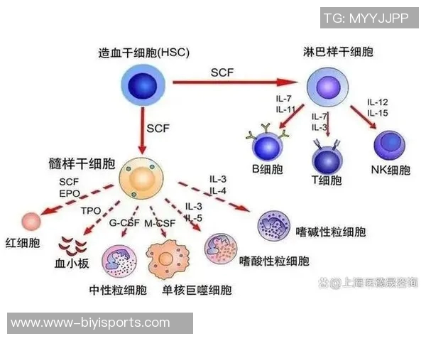 英超数据分析揭示西安篮球队灵活性表现的关键因素与提升策略 英超数据分析揭示西安篮球队灵活性表现的关键因素与提升策略